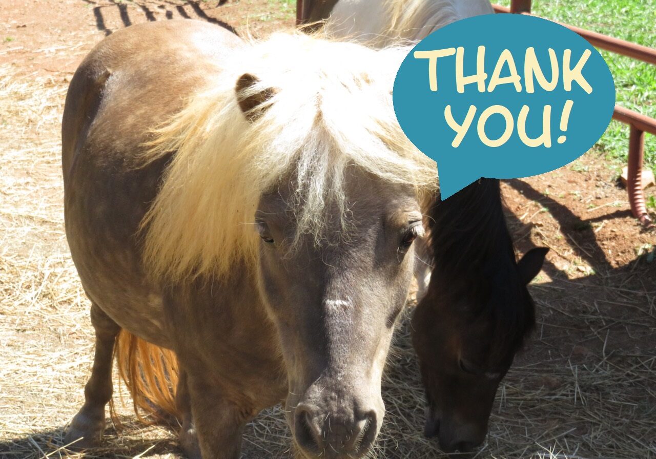 img_thank_you_pony_2025